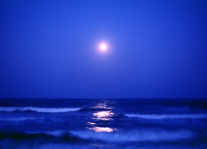 058夜の海
